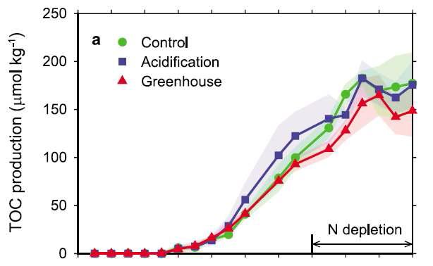 실험 기간 중 대조구 (Control), 해양산성화 실험구 (Acidification; High CO2), 지구온난화 실험구 (Greenhouse; High CO2 & Temp.)에서의 총 유기물 생성량 변화 (1차 메조코즘 실험)