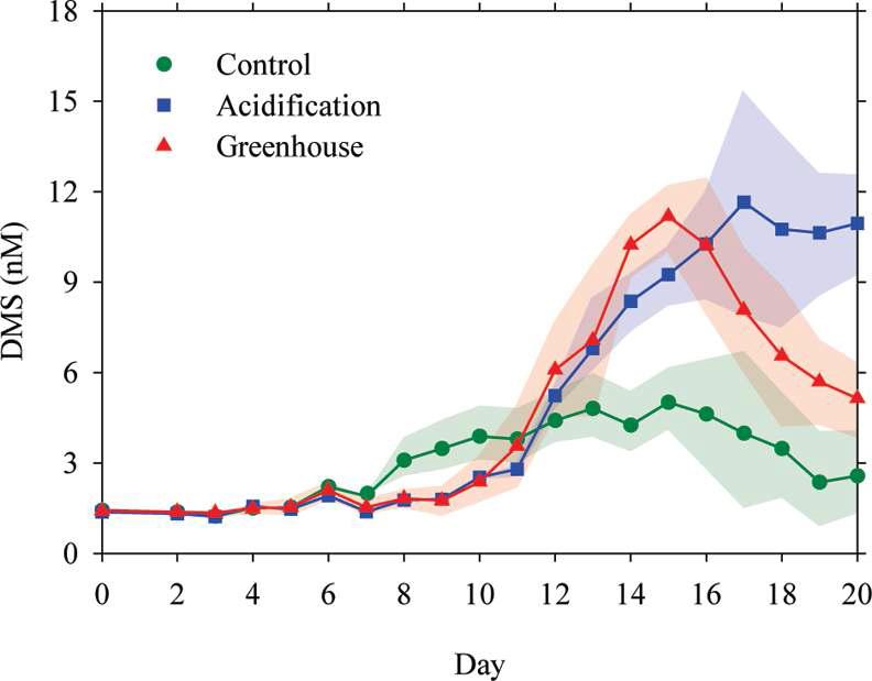 실험 기간 중 대조구 (Control), 해양산성화 실험구 (Acidification; High CO2), 지구온난화 실험구 (Greenhouse; High CO2 & Temp.)에서의 DMS 생성량 변화 (1차 메조코즘 실험)