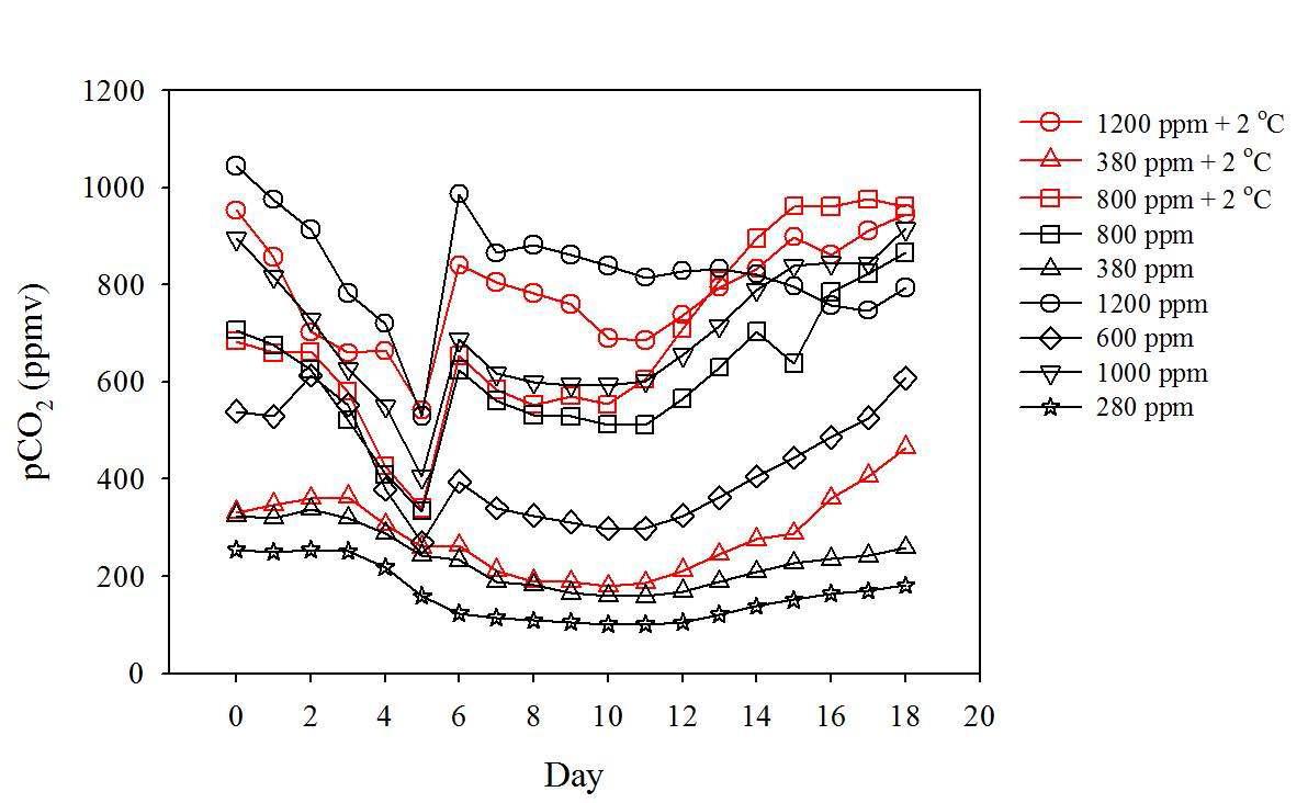 실험 기간 중 9개 실험구의 이산화탄소 농도 변화 (우측 라벨은 각 실험구의 목표치 이산화탄소 농도) (2차 메조코즘 실험)