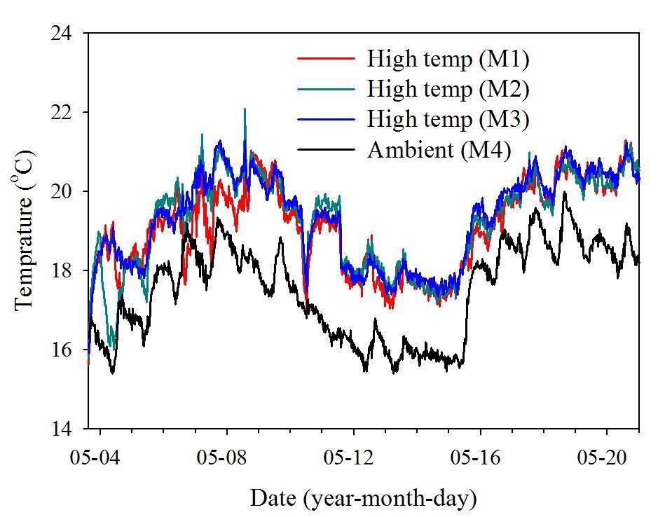 실험 기간 중 대조구와 온도를 상승시킨 실험구 (High temp)에서 온도 변화 (2차 메조코즘 실험)