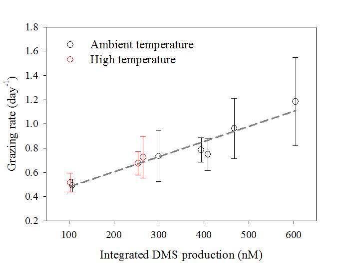 포식압 (grazing rate)과 총 DMS 발생량간의 상관관계