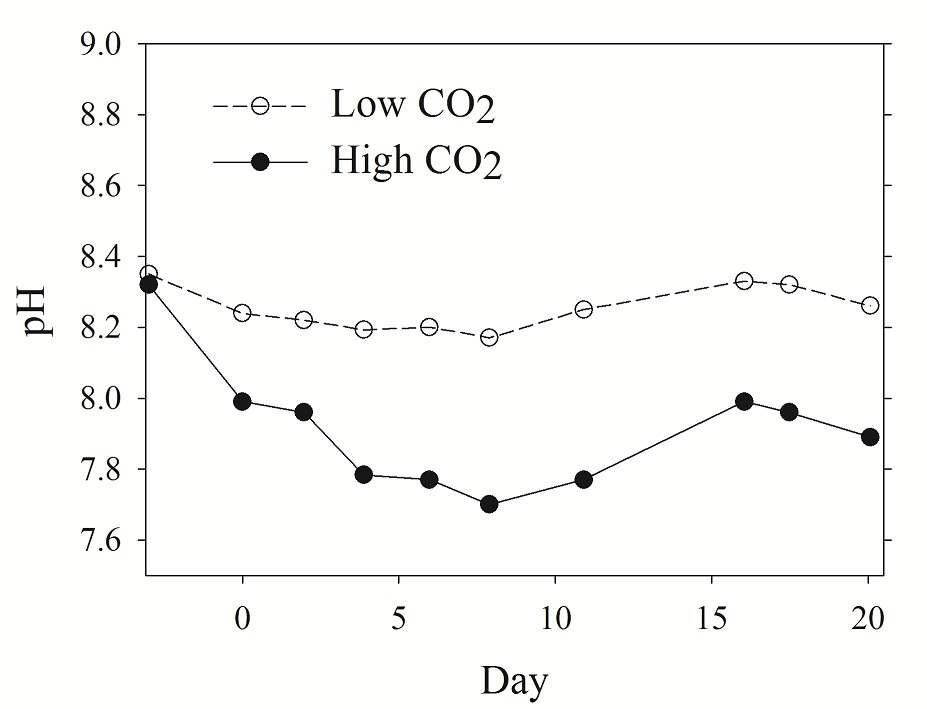 대조구 (Low CO2)와 실험구 (High CO2)에서의 pH 변화