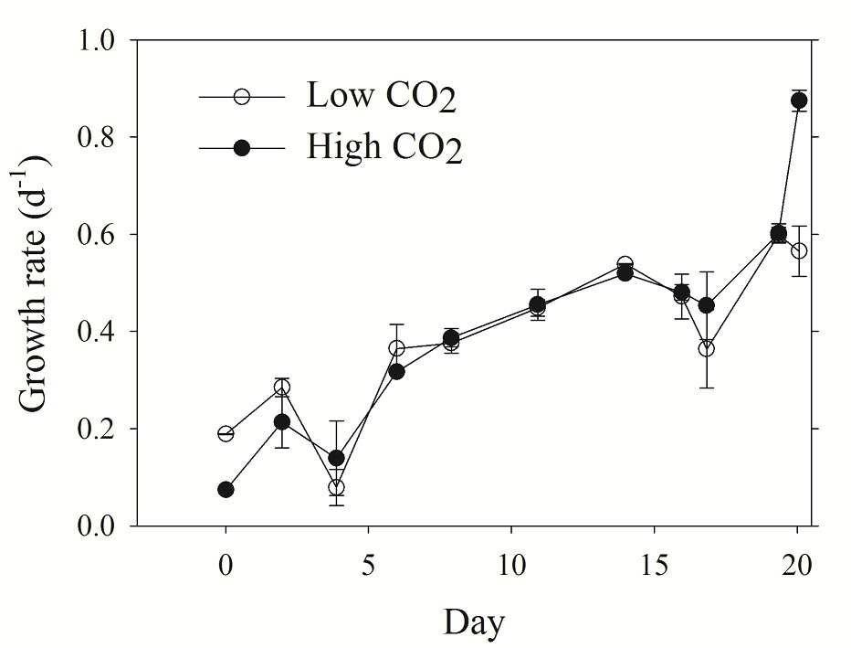 대조구 (Low CO2)와 실험구 (High CO2)에서 Prorocentrum minimum의 성장률 변화