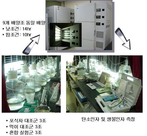 적조생물의 혼합영양에 의한 CO2 흡수율 변화 실험