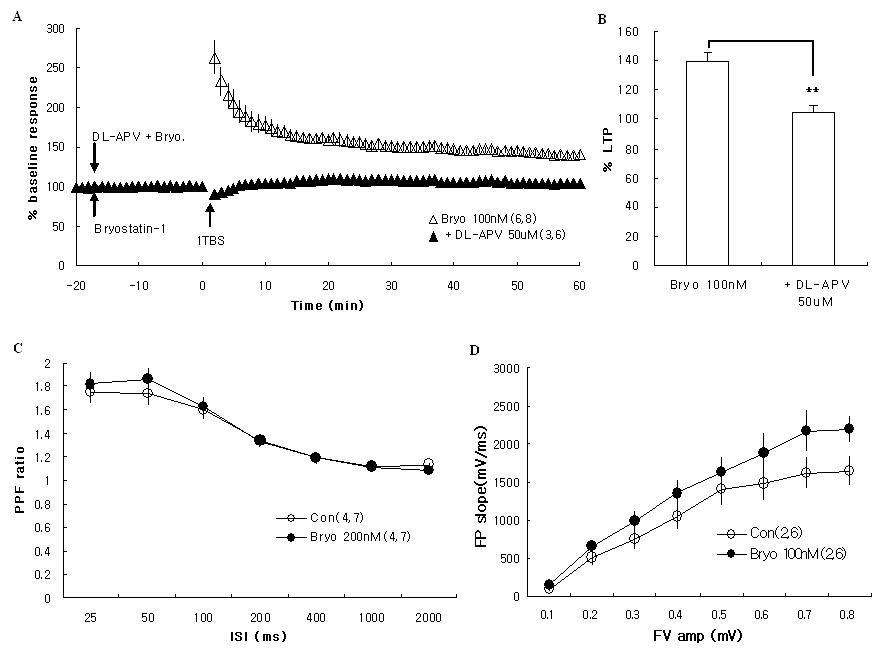 Involvement of NMDA receptors in the effect of bryostatin 1 in the induction of LTP and PPF test and Input/Output curves before and after treatment of bryostatin 1.