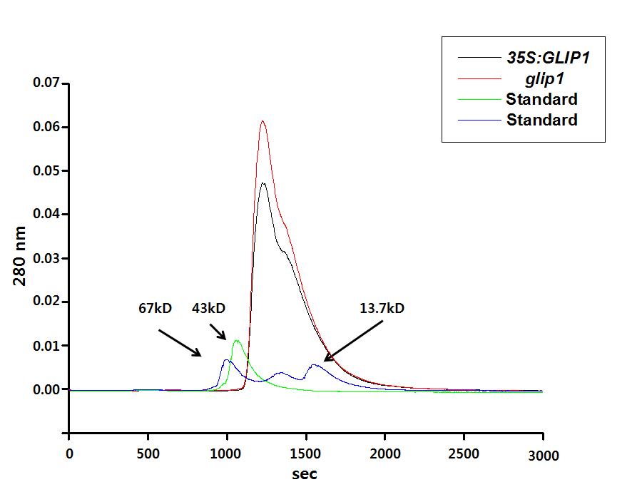 체관수액의 1차 size exclusion HPLC