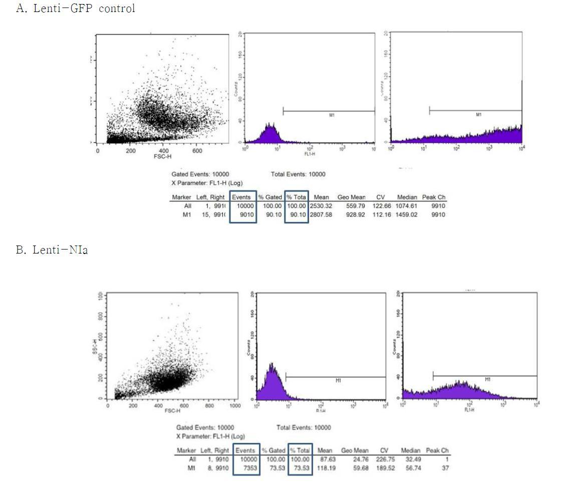 GFP, NIa lentivirus의 역가를 FACS 분석법을 이용하여 측정한 결과