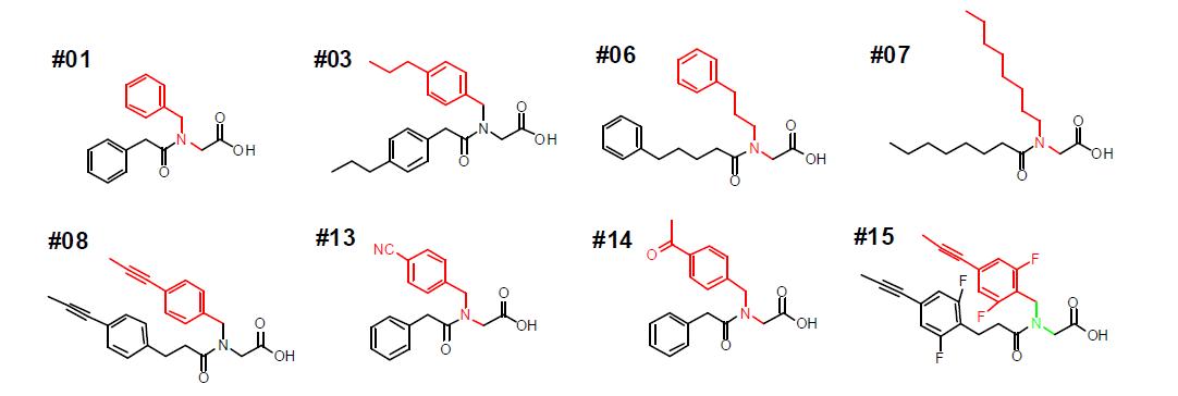 N-acyl-N'-alkyl glycine기반 표지화합물의 구조.