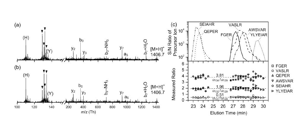 4-plex tag α129, α131, α132, α134을 angiotensin II와 결합시킨 뒤 이를 (a) 2:1:2:1 및 (b) 1:2:1:2의 혼합비로 섞어 탄뎀질량분석한 결과. (c) 다양한 양의 BSA를 4-plex 동중체 표지로 정량분석한 결과.