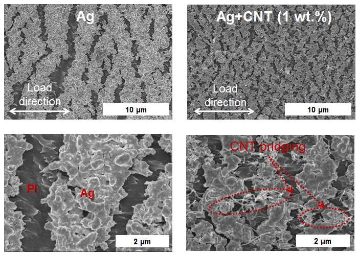 인장 실험 후 은과 은+CNT 복합재료의 미세구조