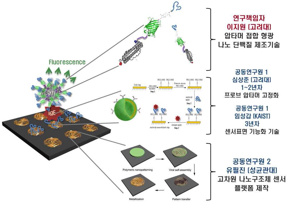 초정밀 진단용 고차원 나노구조체 기반 압타머 센서의 구현을 위한 평가분야 분류