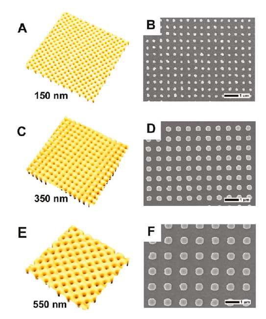 다양한 크기를 갖는 고분자 나노 템 플레이트의 Atomic force microscopy images (좌)와 전기 도금 방식으로 형성된 금 나노 입 자 배열의 SEM images (우)