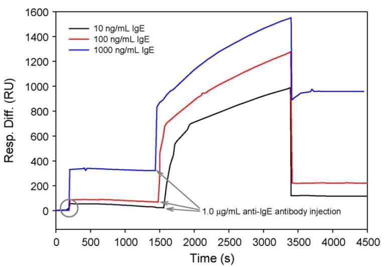 immunoglobulin E(IgE)의 신호 증가