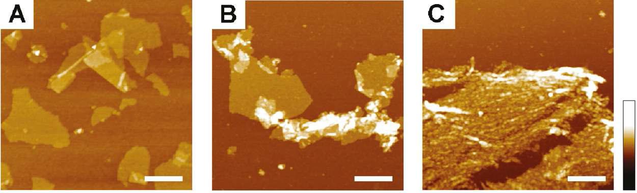 그래핀 시트의 표면 mophology 분석 (a) 카르복실기, (b,c) 아민기를 갖는 그래핀 시트