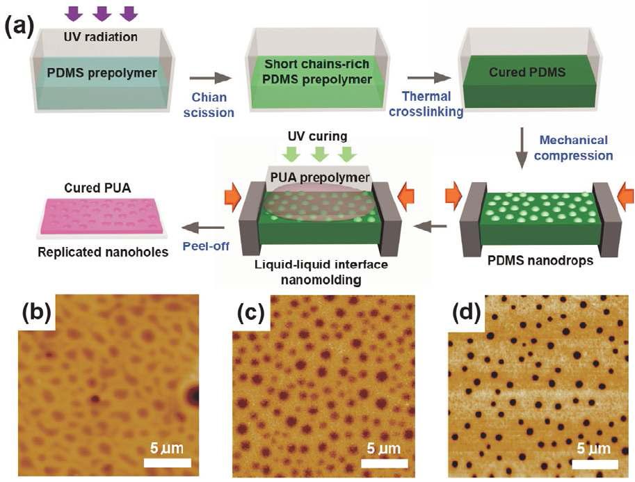 Liquid-liquid interfacial nanmolding 공정의 개략도