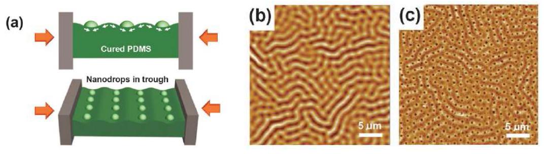 (a) wrinkling이 형성된 PDMS에서 용출되는 액적의 위치가 선별적으로 전파되는 압축응력에 의해 제어되는 모식도, (b) wrinkle 패턴이 형성된 PDMS 구조, (c) (b)의 구조체를 이용한 나노 홀 패턴을 갖는 PUA 구조