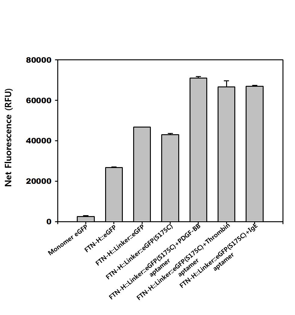 압타머 융합 형광단백질 나노입자의 형광강도 세기 비교 결과