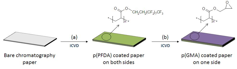 크로마토그래피 종이의 iCVD 코팅 처리 과정.