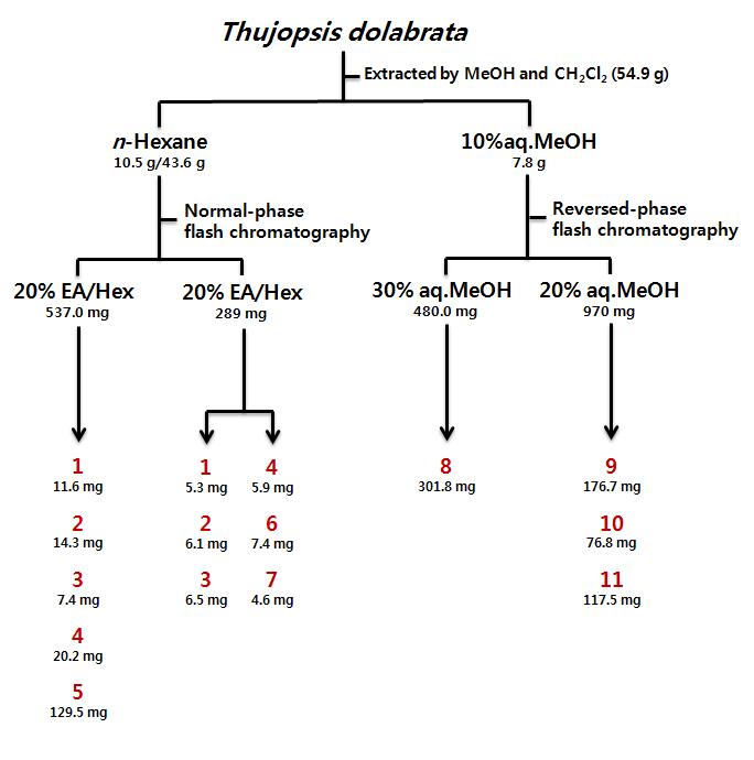 Isolation scheme.