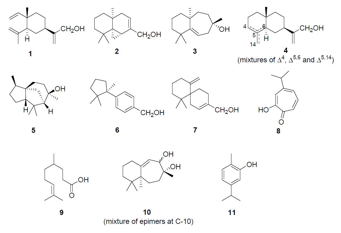 Isolated compounds 1-11.