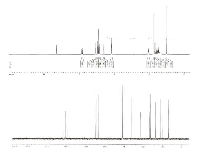 Proton and Carbon NMR spectra of Compound 1.