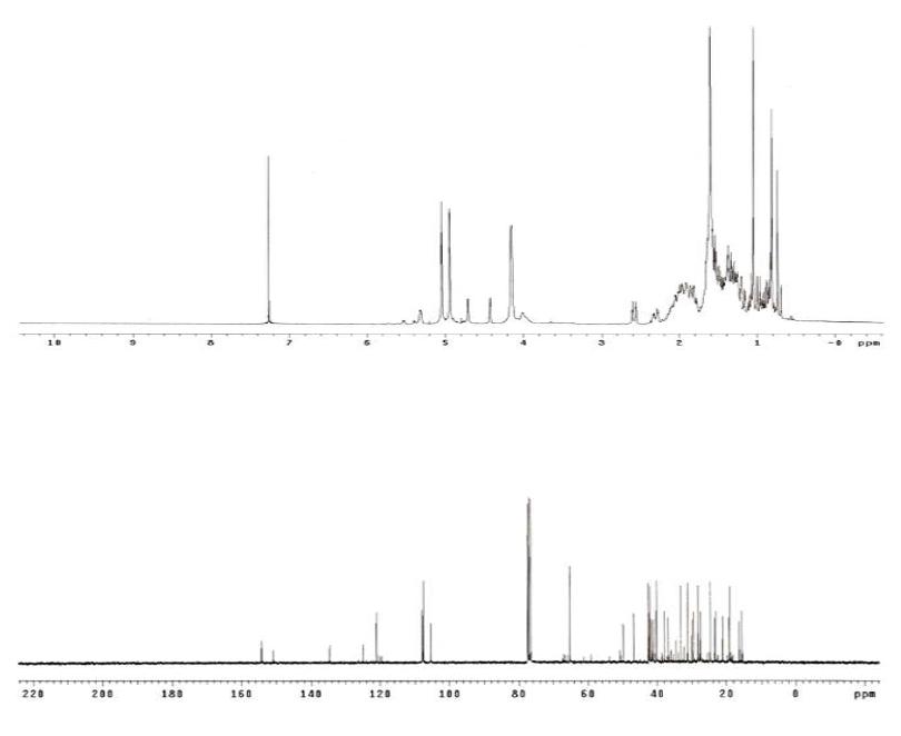 Proton and Carbon NMR spectra of Compound 4.