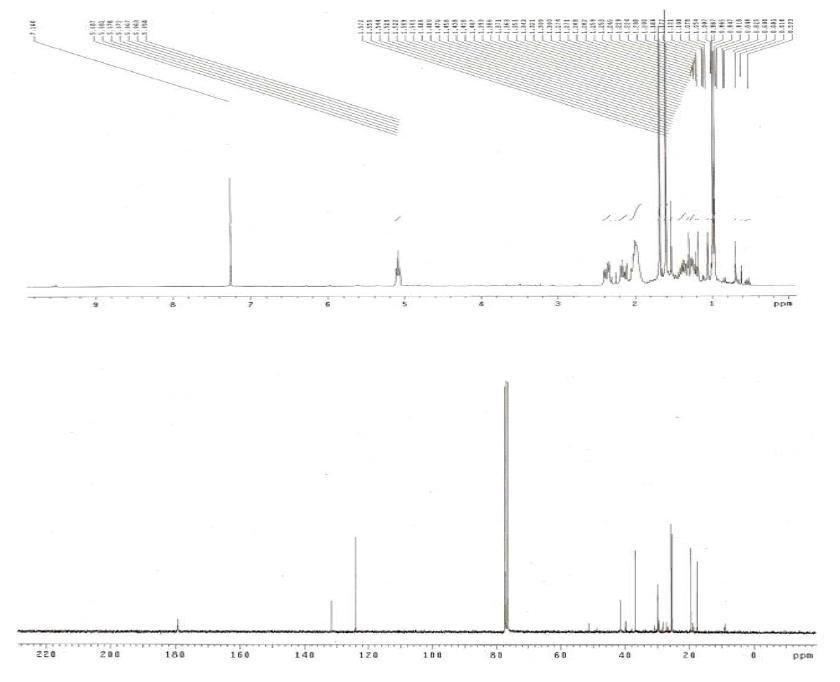 Proton and Carbon NMR spectra of Compound 9.