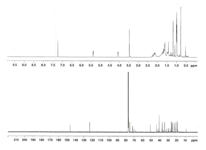 Proton and Carbon NMR spectra of Compound 10.