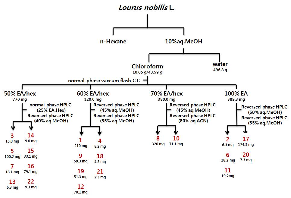 Isolation scheme.