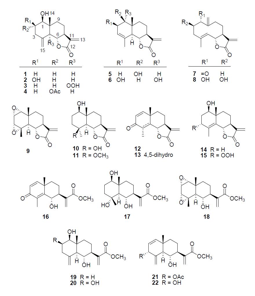 Isolated compounds 1-22.