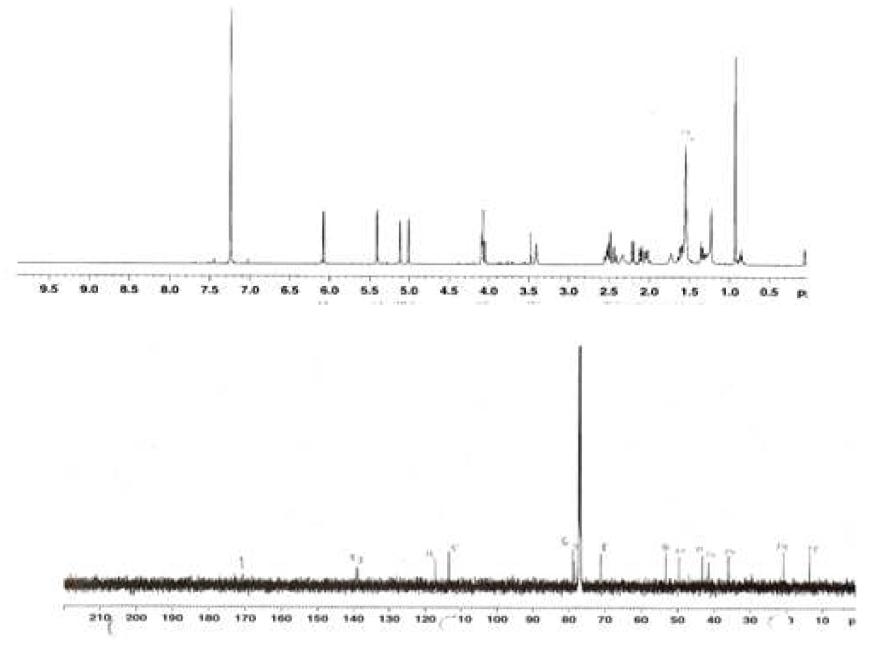 Proton and Carbon NMR spectra of Compound 2.