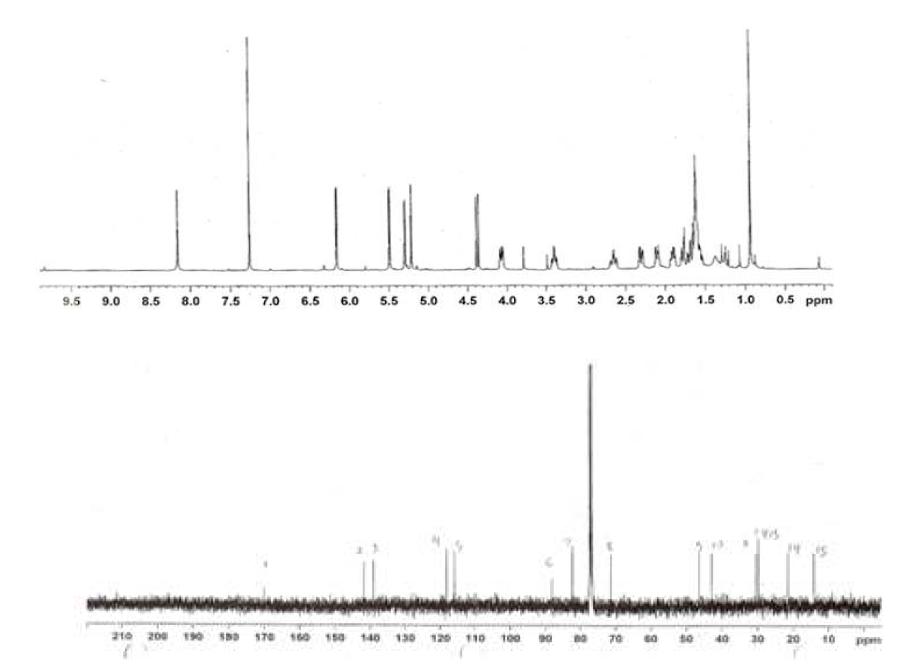 Proton and Carbon NMR spectra of Compound 3.