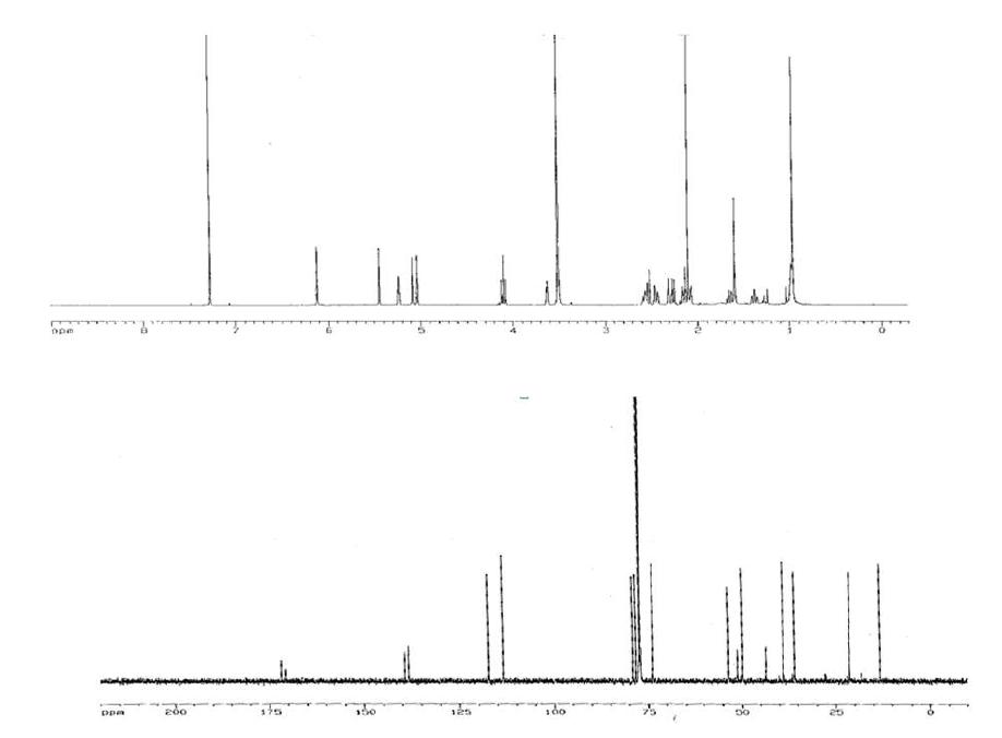 Proton and Carbon NMR spectra of Compound 4.