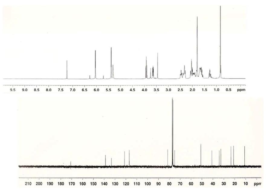 Proton and Carbon NMR spectra of Compound 5.