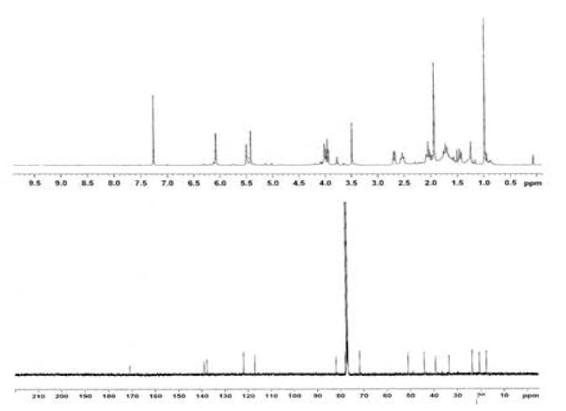 Proton and Carbon NMR spectra of Compound 6.