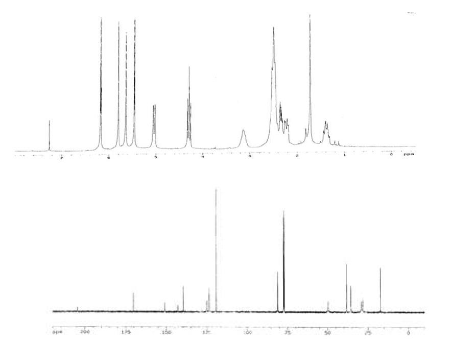 Proton and Carbon NMR spectra of Compound 7.