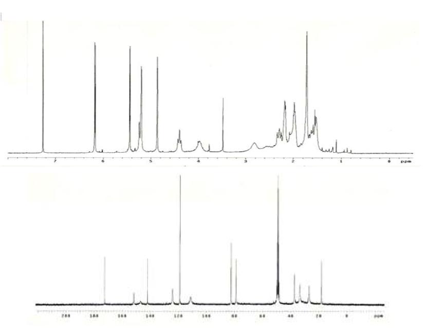 Proton and Carbon NMR spectra of Compound 8.