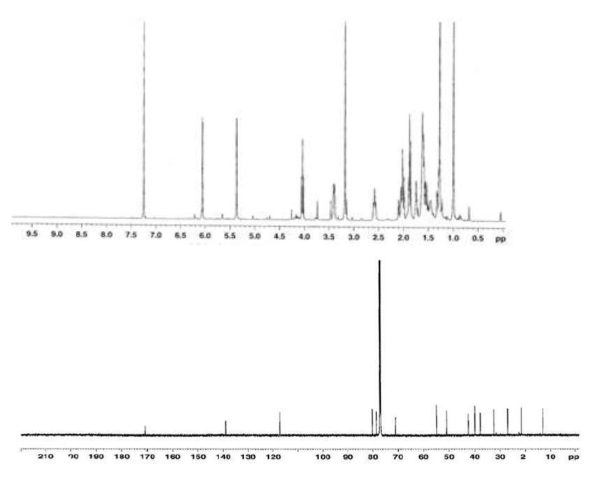 Proton and Carbon NMR spectra of Compound 11.