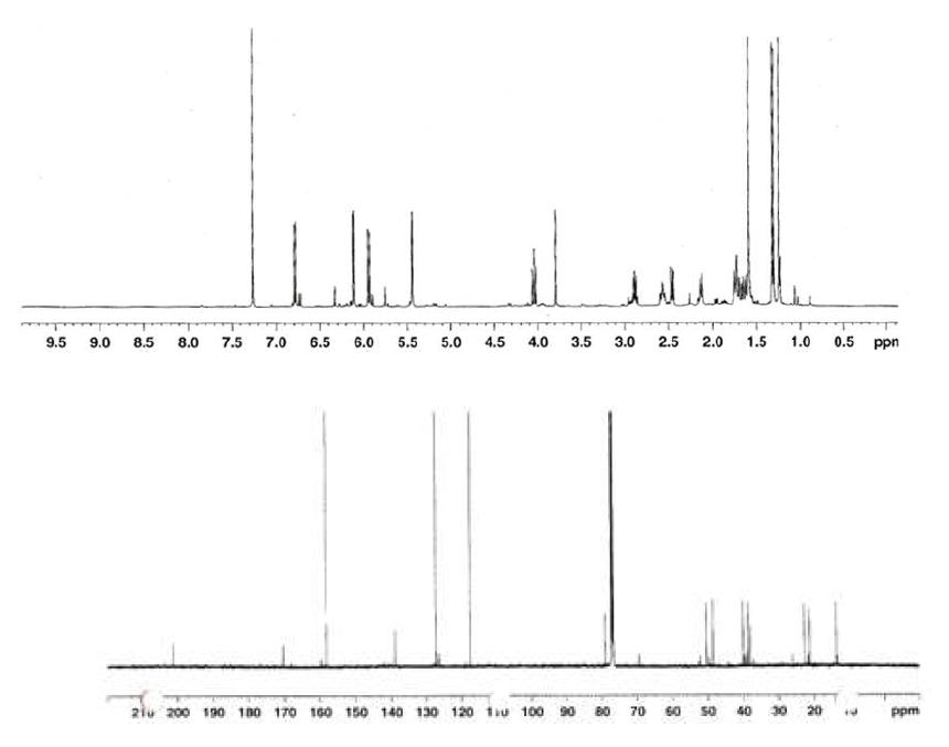 Proton and Carbon NMR spectra of Compound 13.