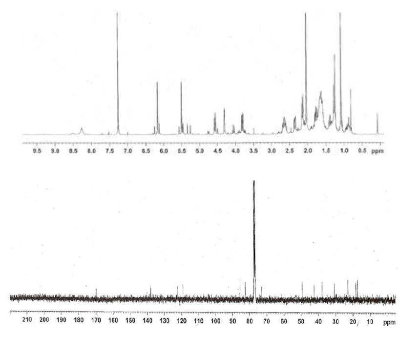 Proton and Carbon NMR spectra of Compound 15.