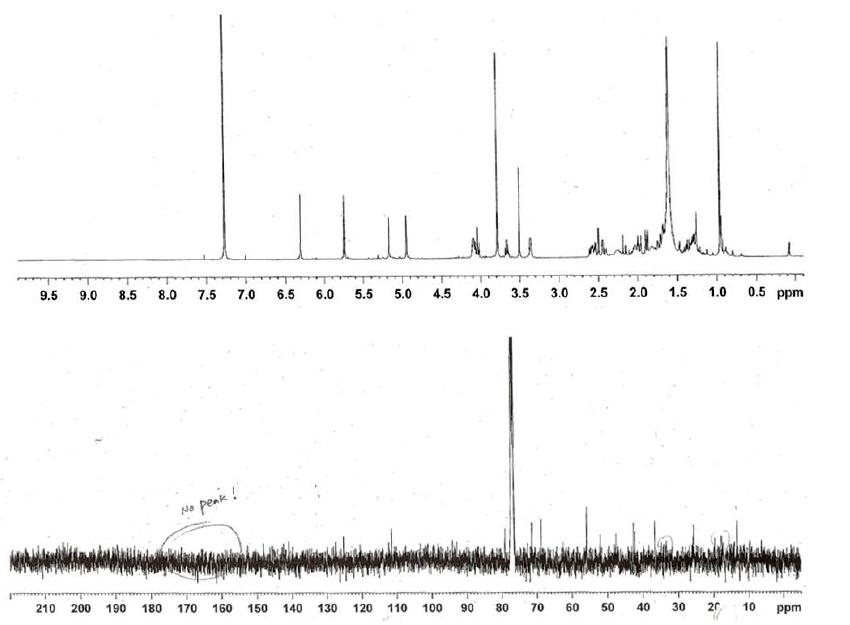 Proton and Carbon NMR spectra of Compound 20.