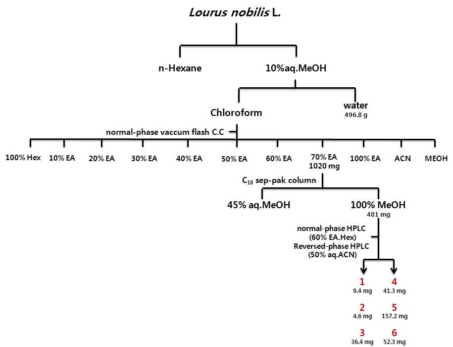 Isolation scheme.