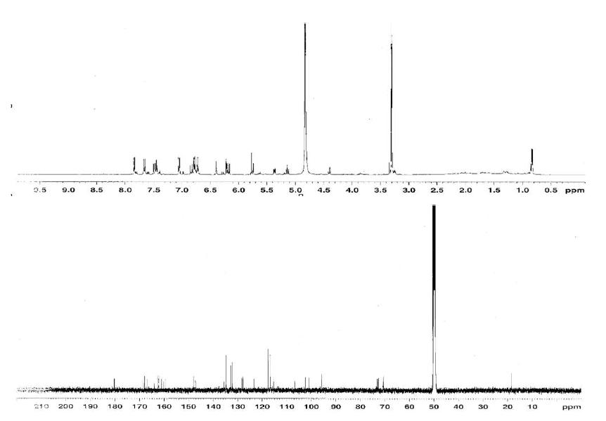 Proton and Carbon NMR spectra of Compound 1.