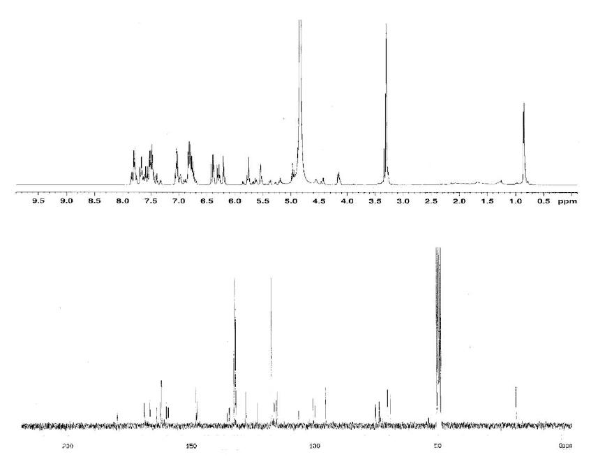 Proton and Carbon NMR spectra of Compound 3.