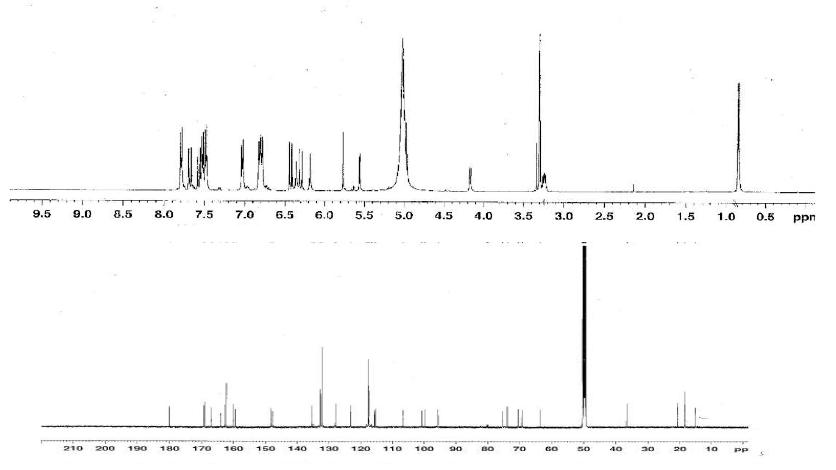 Proton and Carbon NMR spectra of Compound 5.