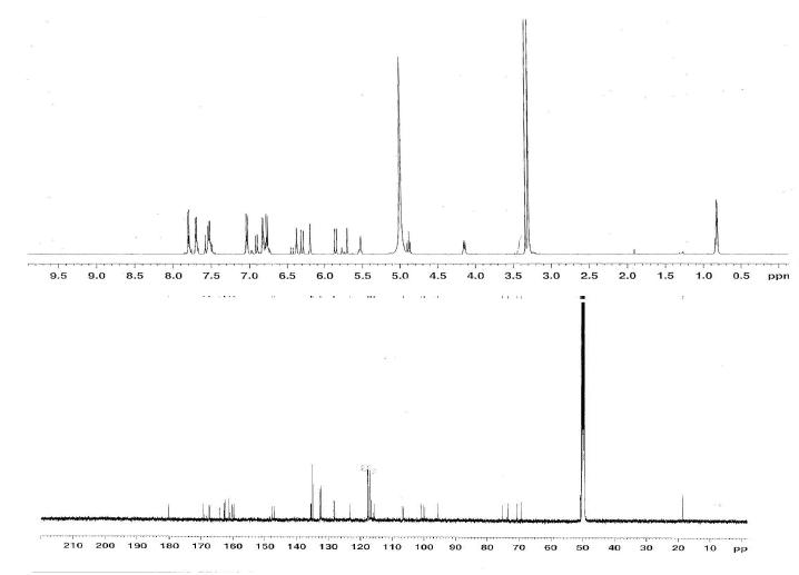 Proton and Carbon NMR spectra of Compound 6.