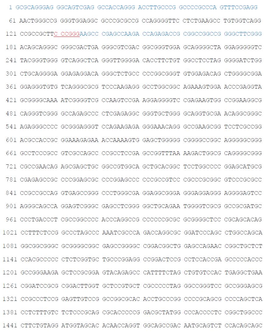 Sequence of SOCS-1 promoter region (under line: SmaI site).