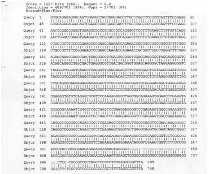 DNA sequence of SOCS promoter region using T7 sequencing primer.