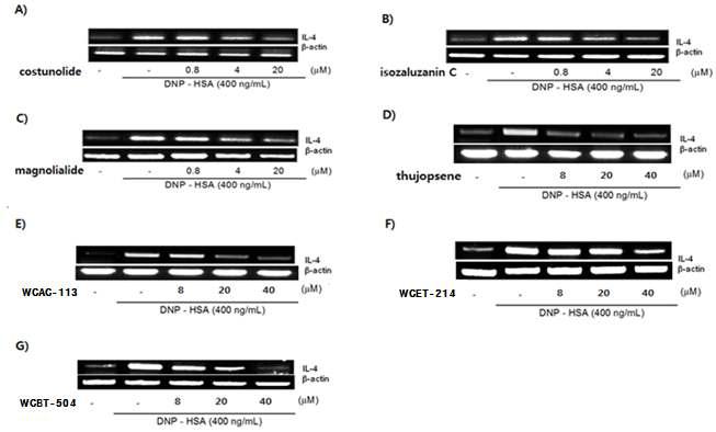 Inhibitory effects of compounds on IL-4 mRNA expression in RBL-2H3 cells. A) Costunolide. B) Isozaluzanin. C) Magnolialide. D) Thujopsene. E) WCAC-113. F)WCAC-214. G) WCBT-504.