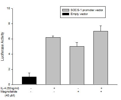 Socs-1 promoter activity is induced in transiently transfected A549 cells by magnolialide.